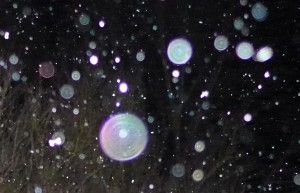 The Beauty and Message of ORBS And The Orbs Evolution during Heal to be Free - Soest