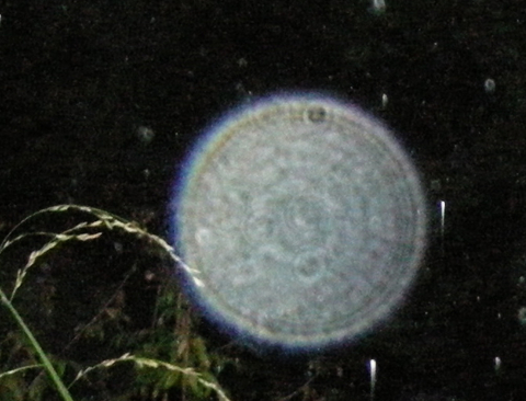 04-1-Klassieke-doorschijnende-Orb