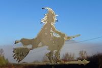 Newsletter January 2014 with wonderful ORB images