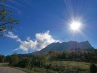 Newsletter November/December 2015