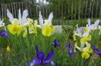 Newsletter May/June 2014