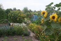 Inleiding boek ~UIT IN EIGEN HUIS~